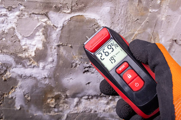 Asbestos and Lead Testing During Mold Inspection in La Grulla, TX